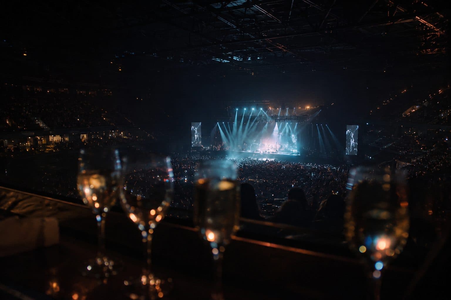 Movistar Arena VIP Experience